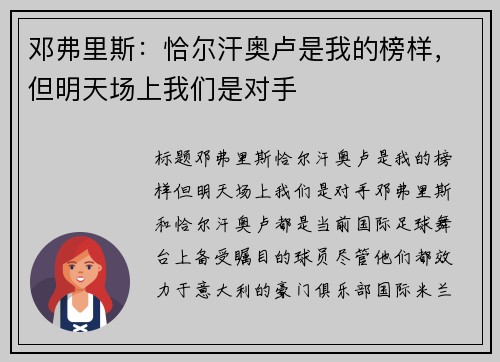 邓弗里斯：恰尔汗奥卢是我的榜样，但明天场上我们是对手