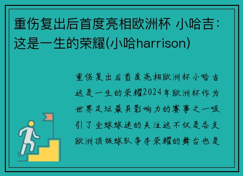 重伤复出后首度亮相欧洲杯 小哈吉：这是一生的荣耀(小哈harrison)
